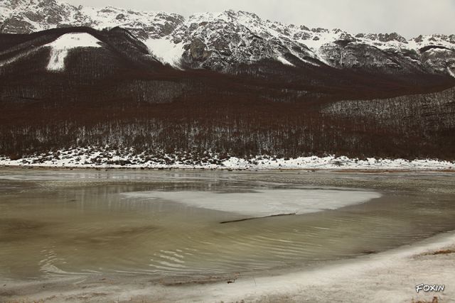 album/078 Tundra gelata 2.JPG